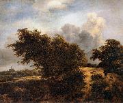RUISDAEL, Jacob Isaackszon van The Thicket oil painting